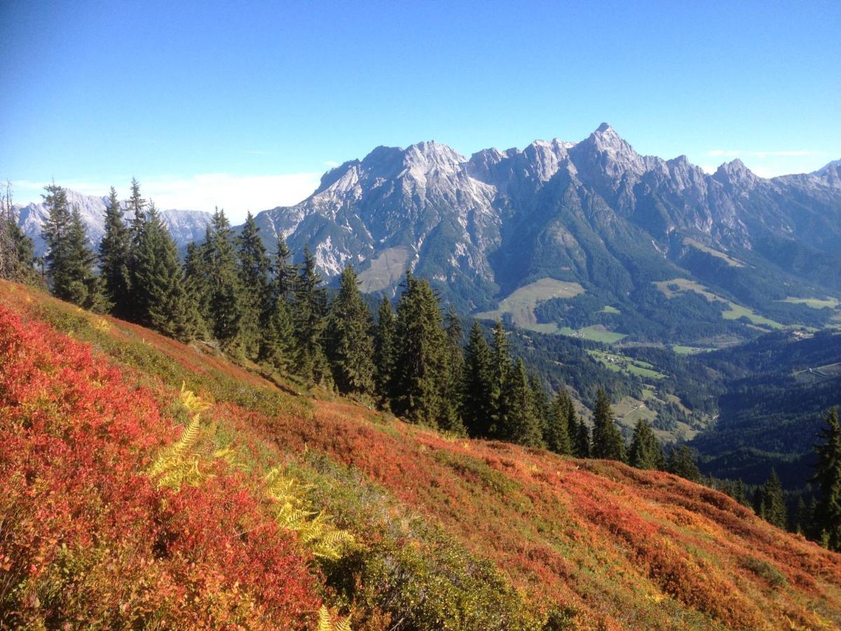 Pension Aberger Saalbach-Hinterglemm Esterno foto